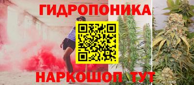 крисы Беслан