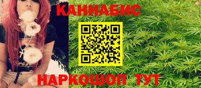 крисы Беслан