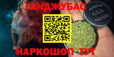 крисы Беслан