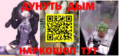 твердый Бийск