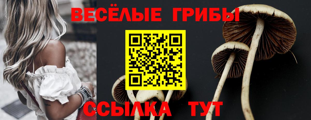 Галлюциногенные грибы мухоморы  наркота  Зерноград  Вход с VPN 